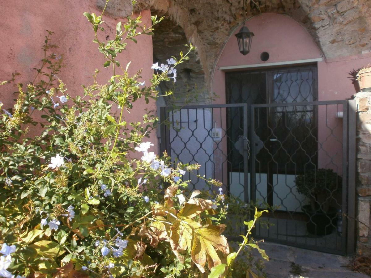 Risorgimento Apartment Cipressa Εξωτερικό φωτογραφία